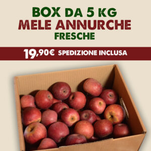 Box Famiglia – Mele Annurche fresche 5 kg (spedizione inclusa)