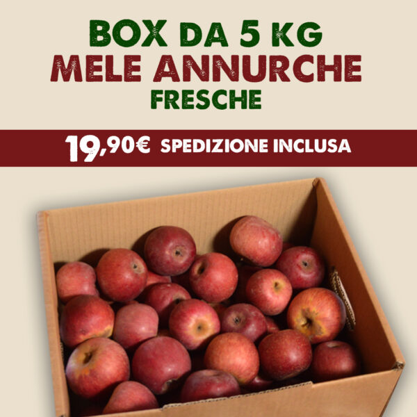 Box Famiglia – Mele Annurche fresche 5 kg (spedizione inclusa)
