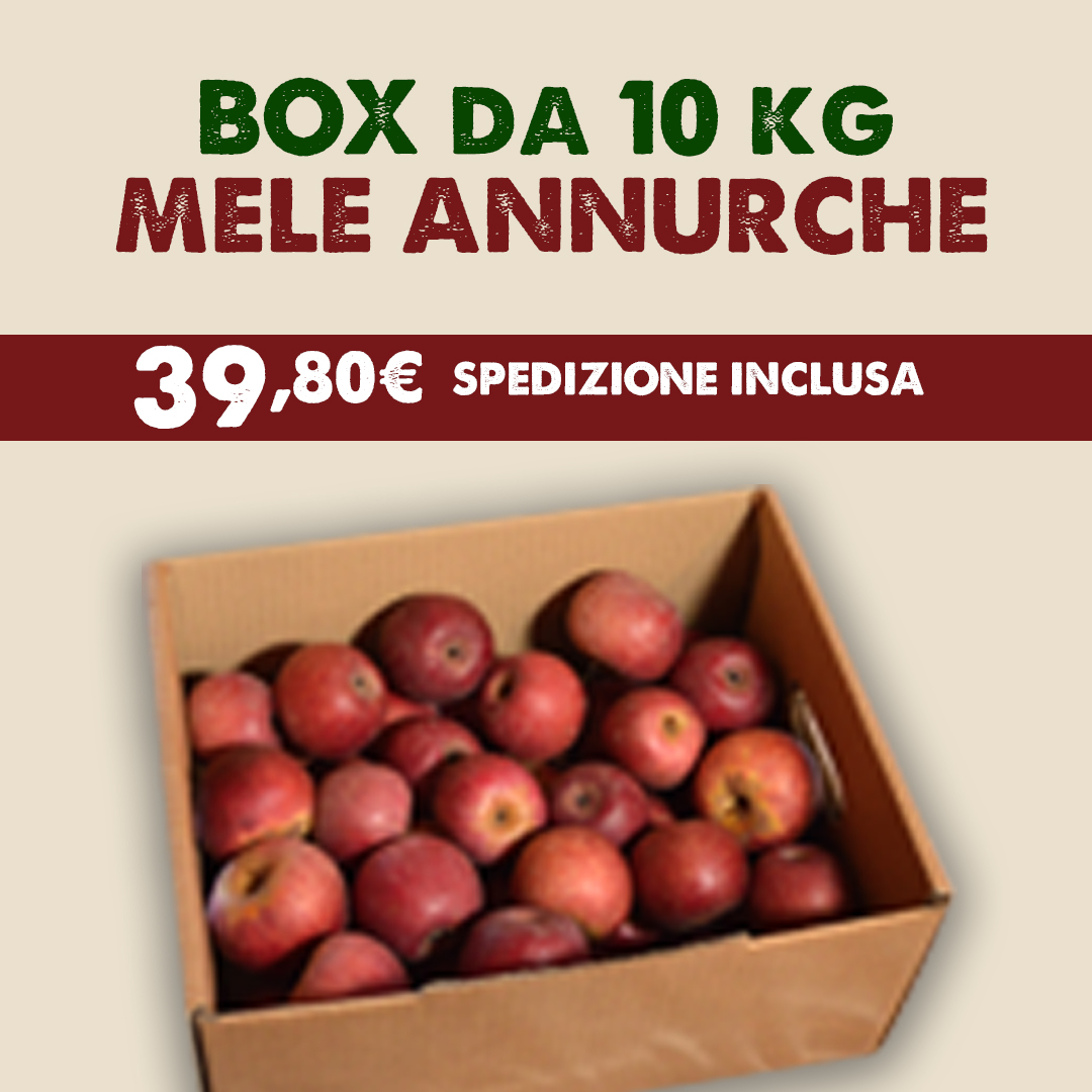 Box Famiglia – Mele Annurche fresche 10 kg (spedizione inclusa)