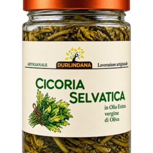 Cicoria Selvatica in olio extravergine